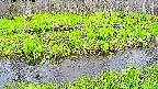 mizubasho7-20250427164039.jpg