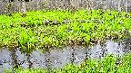 mizubasho7-20250427170050.jpg