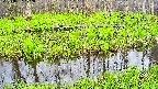 mizubasho7-20250427172042.jpg