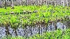 mizubasho7-20250428065042.jpg