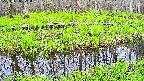 mizubasho7-20250428071039.jpg