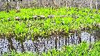 mizubasho7-20250428072042.jpg