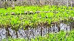 mizubasho7-20250428073041.jpg