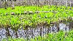 mizubasho7-20250428075039.jpg