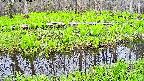 mizubasho7-20250428085044.jpg