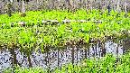 mizubasho7-20250428104044.jpg