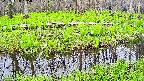 mizubasho7-20250428105038.jpg