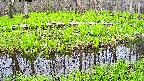 mizubasho7-20250428110042.jpg