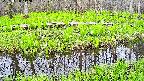 mizubasho7-20250428112039.jpg