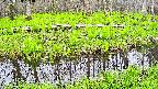 mizubasho7-20250428134043.jpg