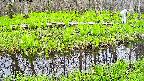 mizubasho7-20250428135041.jpg
