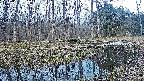 mizubasho8-20240404051127.jpg
