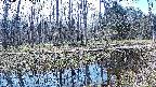 mizubasho8-20240404105118.jpg