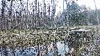 mizubasho8-20240404173114.jpg