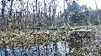 mizubasho8-20240404175106.jpg