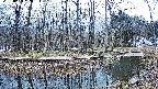 mizubasho8-20250404120054.jpg