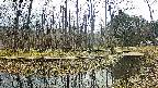 mizubasho8-20250410131054.jpg
