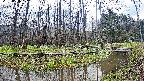 mizubasho8-20250416172054.jpg
