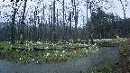mizubasho8-20250418183050.jpg