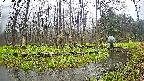mizubasho8-20250420074050.jpg