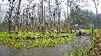 mizubasho8-20250420094054.jpg
