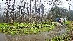 mizubasho8-20250420110054.jpg