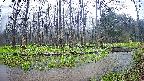 mizubasho8-20250420111055.jpg