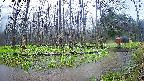 mizubasho8-20250420114057.jpg
