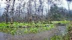 mizubasho8-20250420120056.jpg