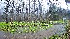 mizubasho8-20250420121059.jpg