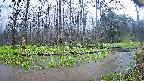 mizubasho8-20250420122058.jpg