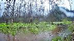 mizubasho8-20250420133055.jpg