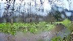 mizubasho8-20250420134056.jpg