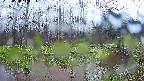 mizubasho8-20250420140053.jpg