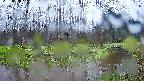mizubasho8-20250420141100.jpg