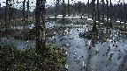 mizubasho1-20250404050016.jpg