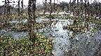mizubasho1-20250404100017.jpg