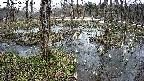 mizubasho1-20250404105017.jpg