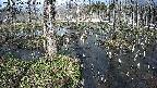 mizubasho1-20250404143016.jpg