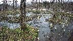 mizubasho1-20250404163015.jpg
