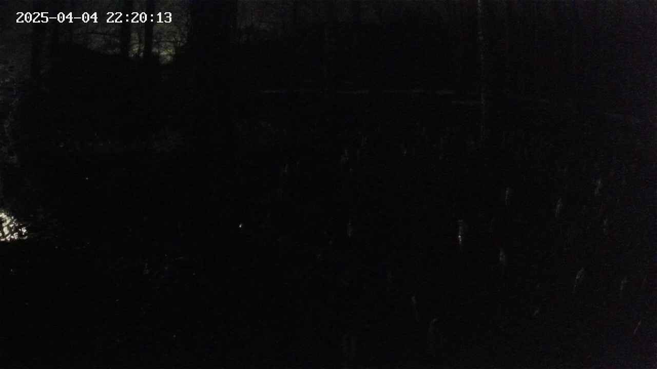 mizubasho1-20250404222013.jpg