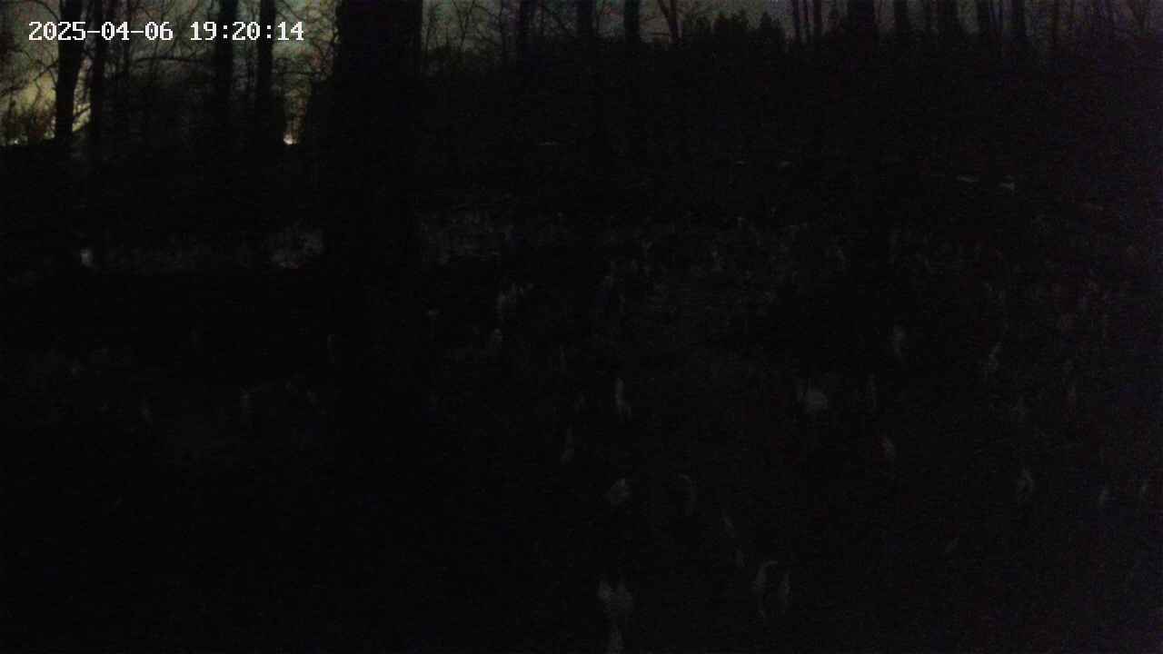 mizubasho1-20250406192015.jpg
