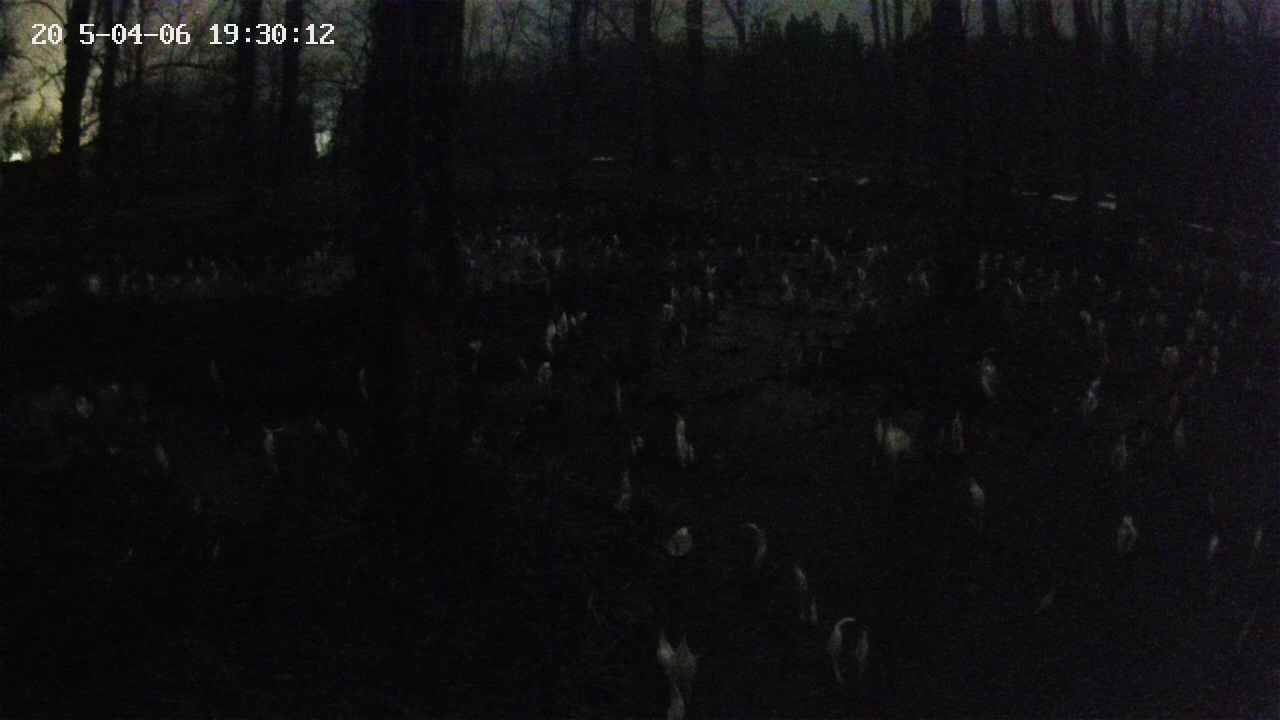 mizubasho1-20250406193013.jpg