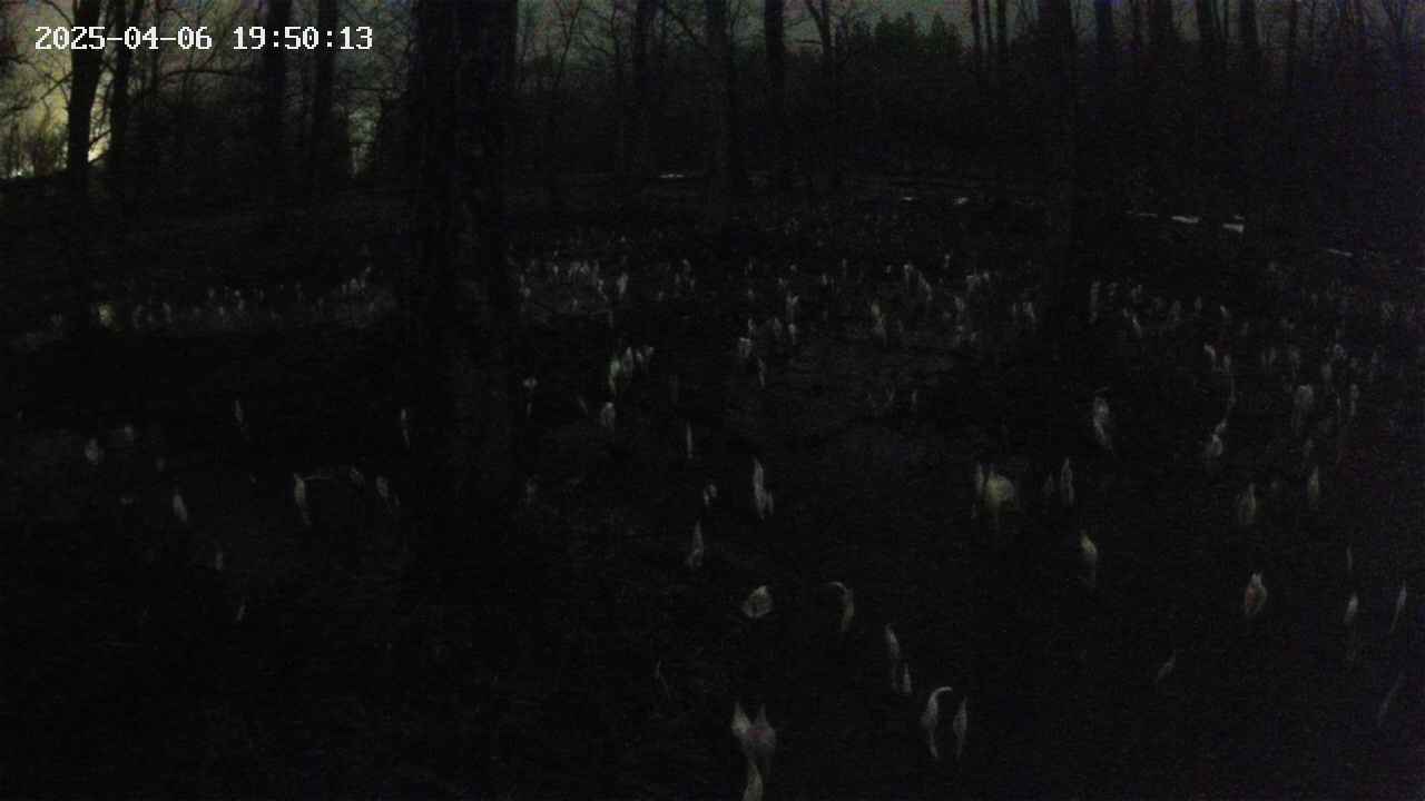 mizubasho1-20250406195014.jpg