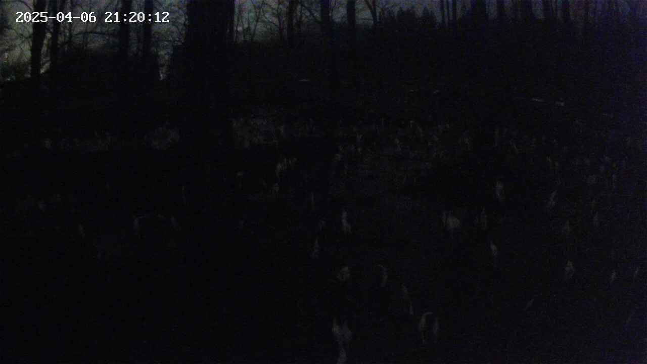 mizubasho1-20250406212013.jpg