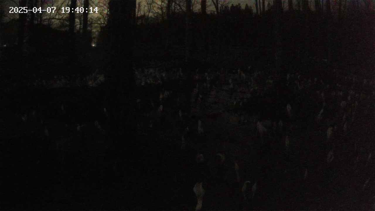 mizubasho1-20250407194014.jpg
