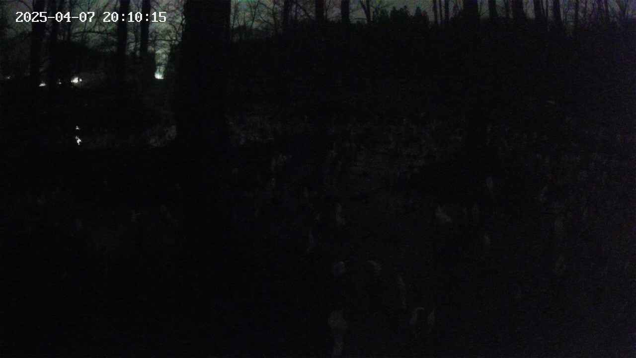 mizubasho1-20250407201015.jpg
