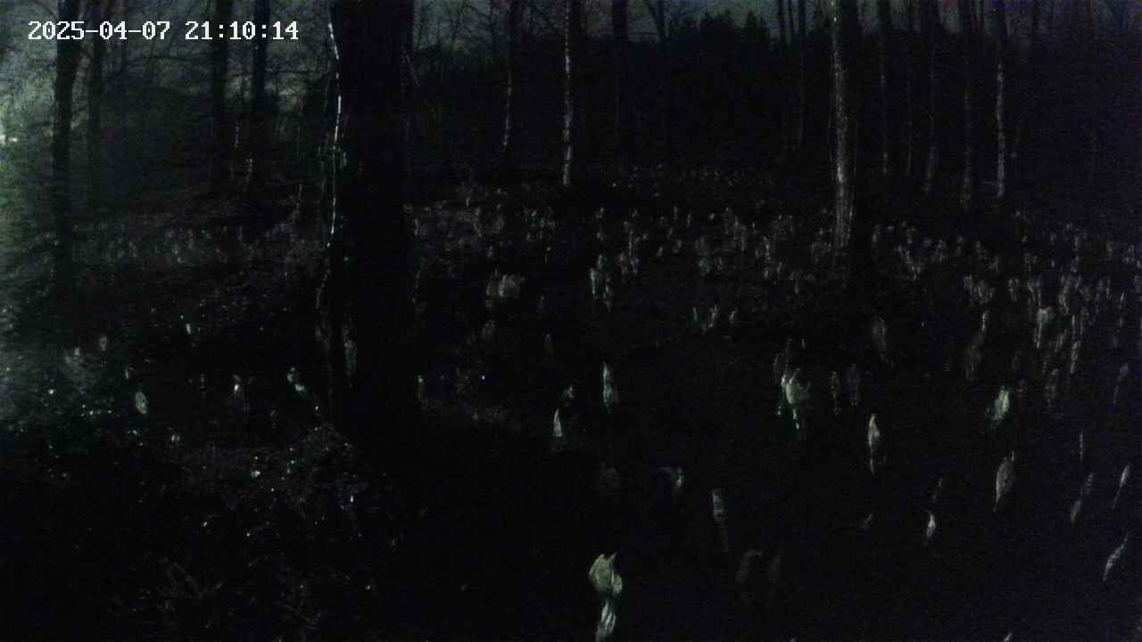 mizubasho1-20250407211015.jpg