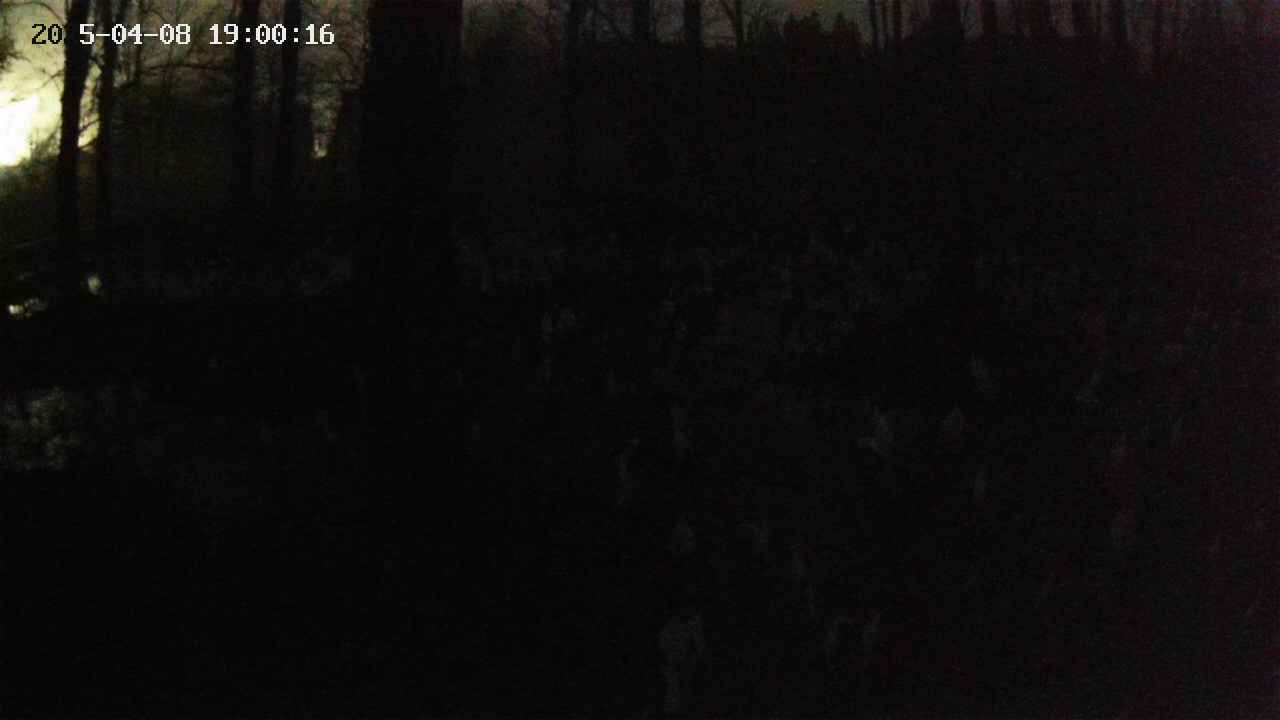 mizubasho1-20250408190017.jpg