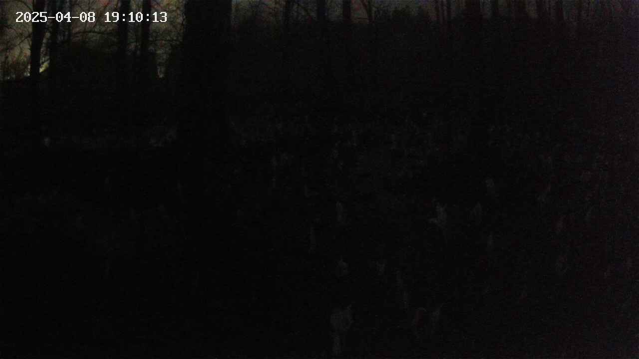 mizubasho1-20250408191014.jpg